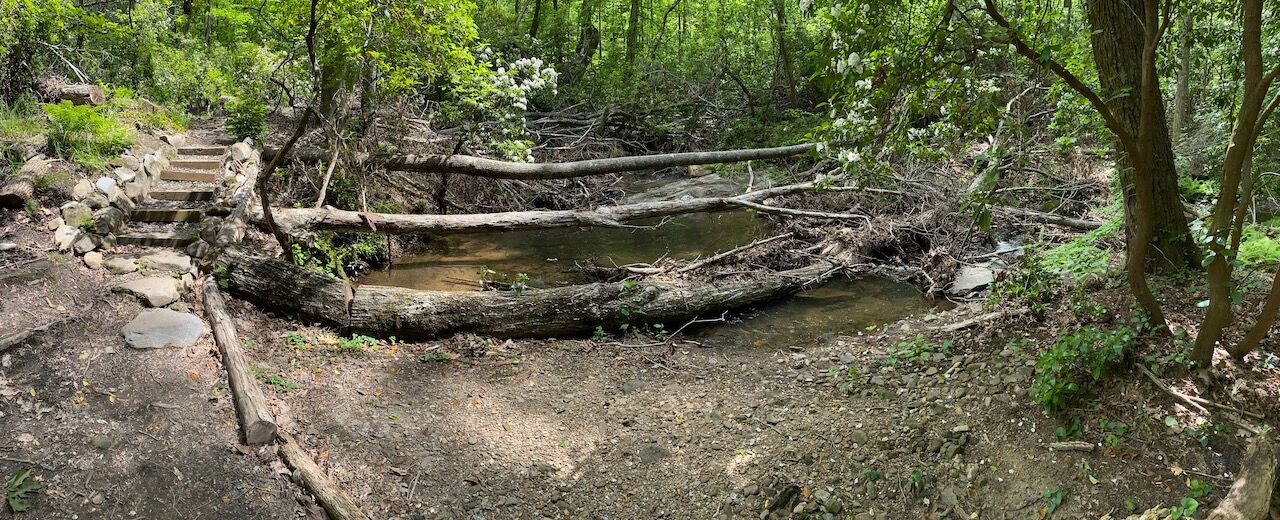 What Confluence Point looked like until recently, after the initial 2019 cleanup.
